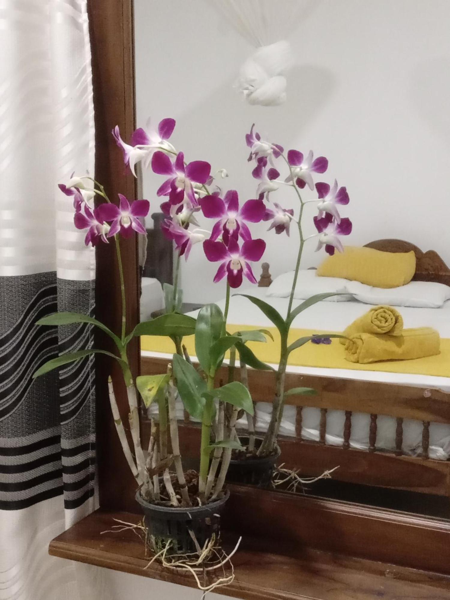 Nature Glow Cottage Удавалаве Екстериор снимка