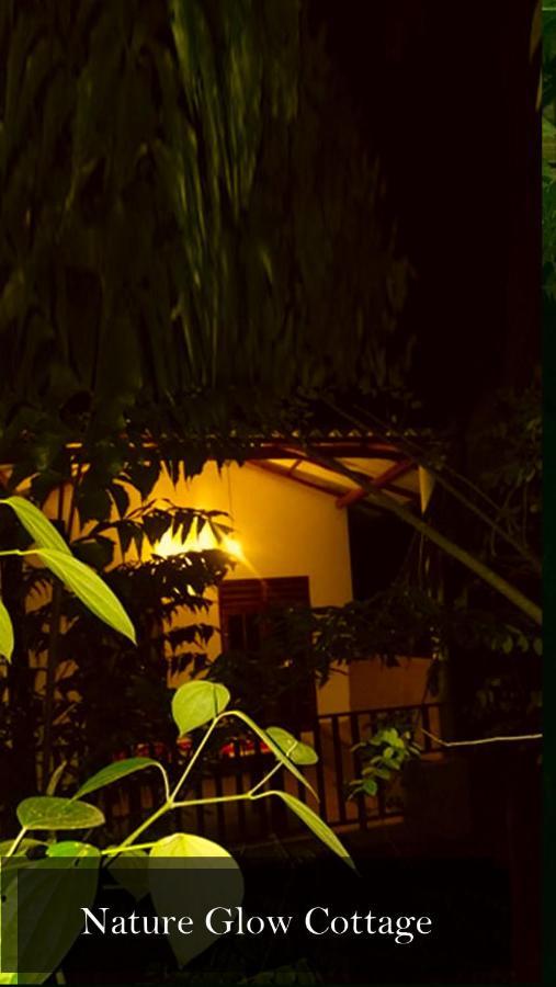Nature Glow Cottage Удавалаве Екстериор снимка